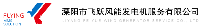 Liyang Feiyue Wind Generator Service Co., Ltd.